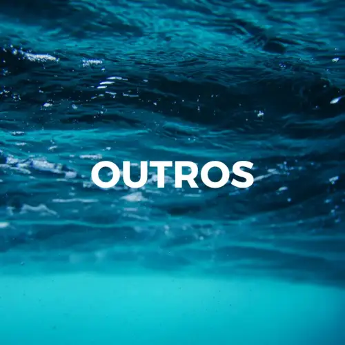 Outros